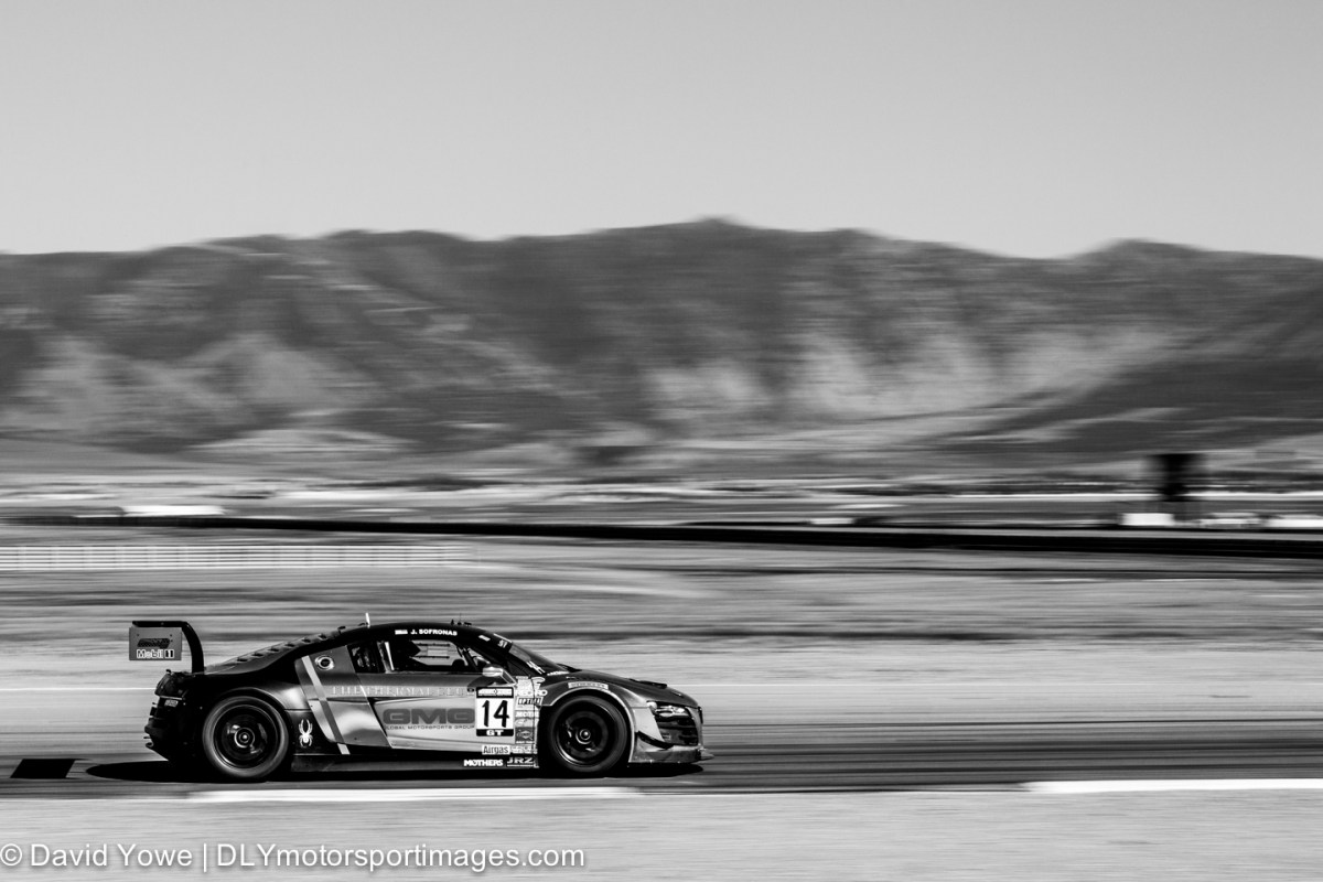 2014 Miller (#14 Global Motorsports Group Audi R8 Ultra)