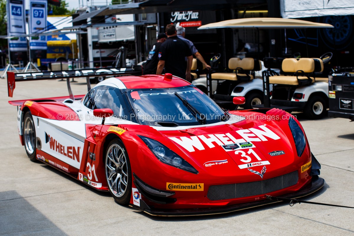 2015 Detroit (IMG_0496)