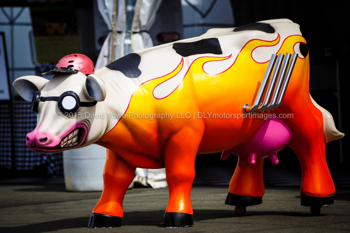 2015 Sonoma (222A5974)