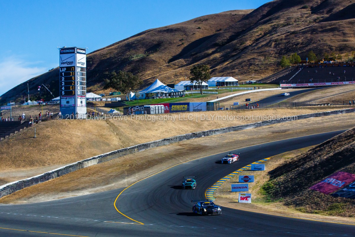 2015 Sonoma (222A7061)