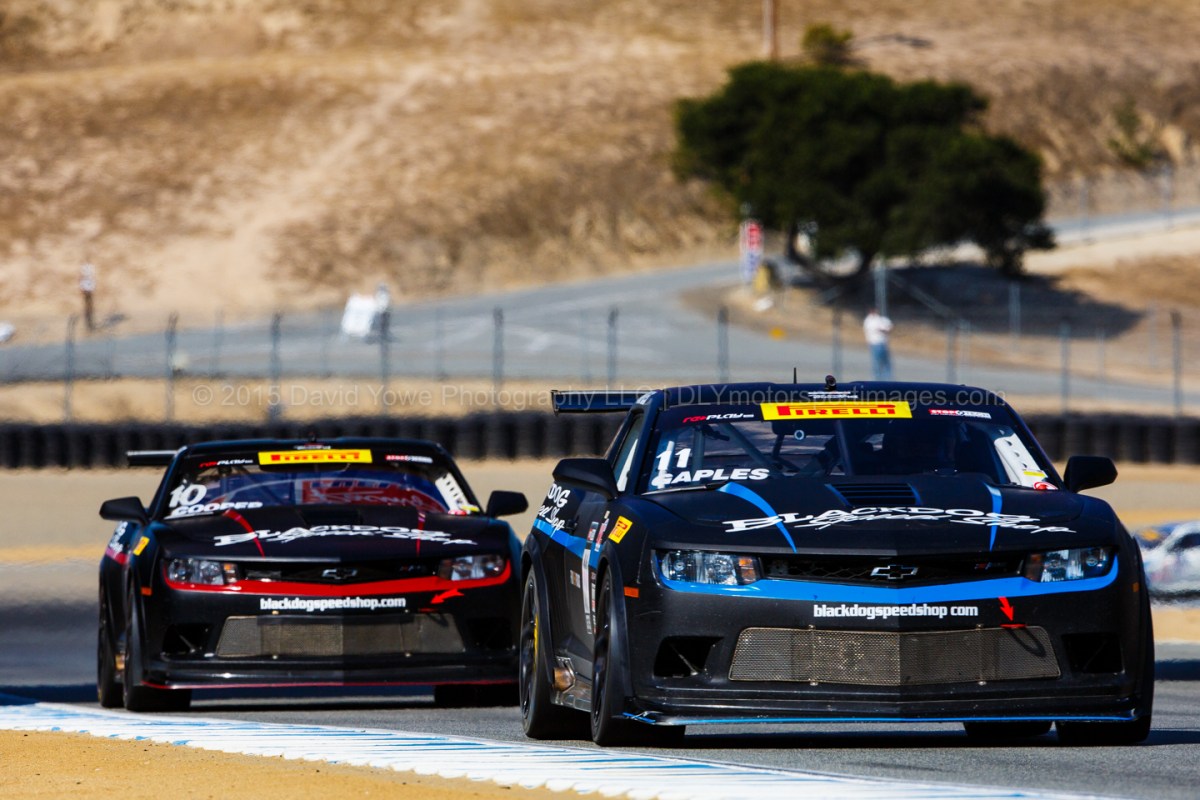 2015 Laguna Seca (222A8190)
