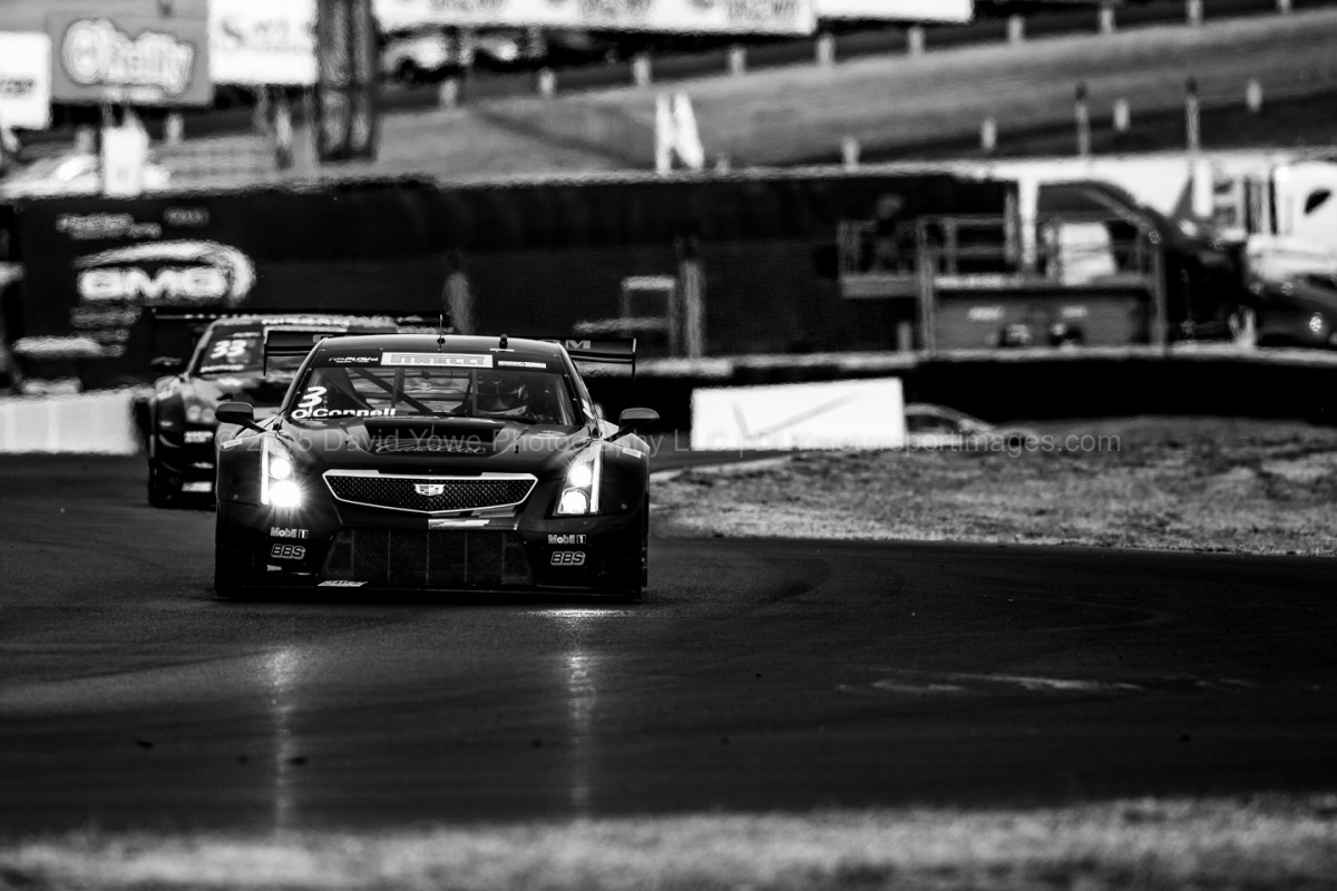 2015 Sonoma (HC7A5340)