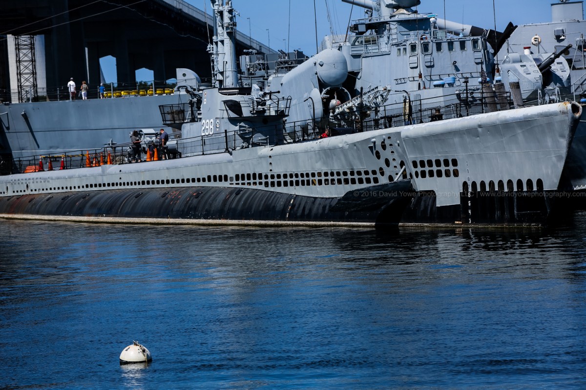 2016 Fall River (222A8667)