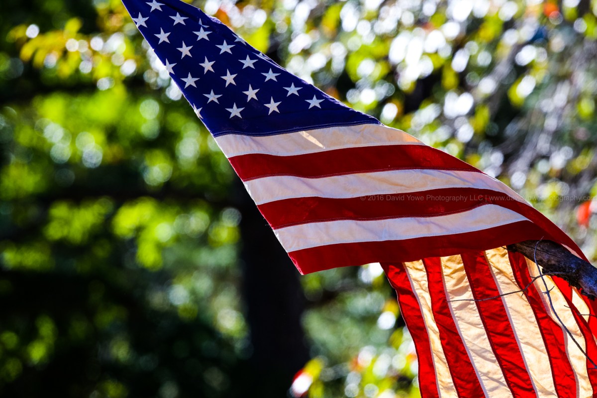 2016 Road Atlanta (hc7a1573)