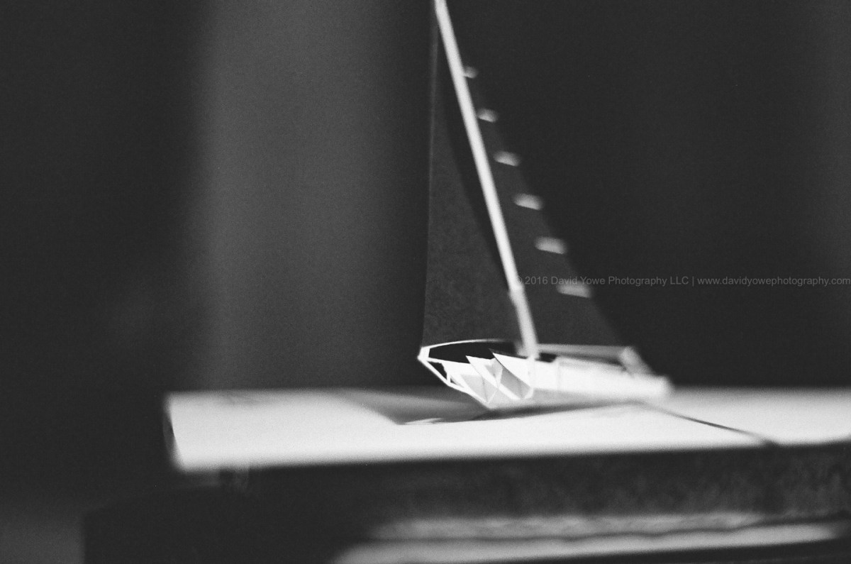 2016 F-1 (Sailing boat)