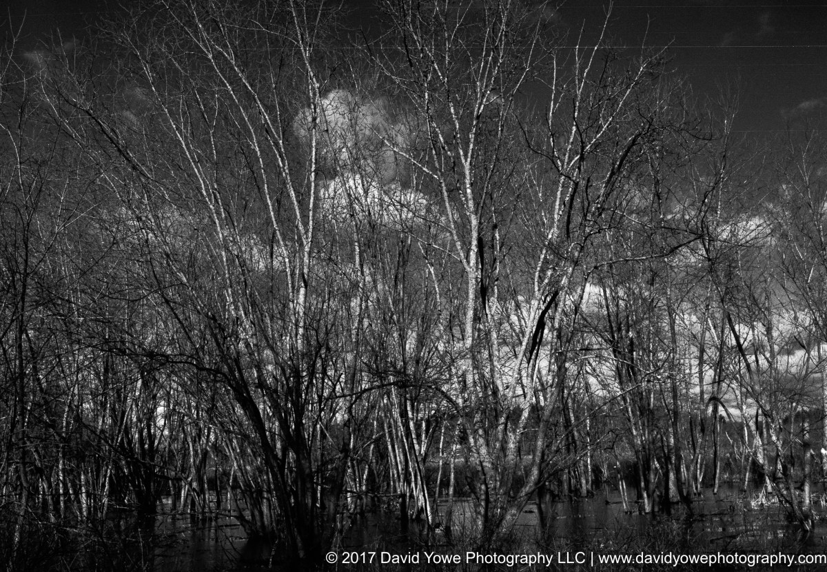 Sherman's Bridge Road (Concord River)