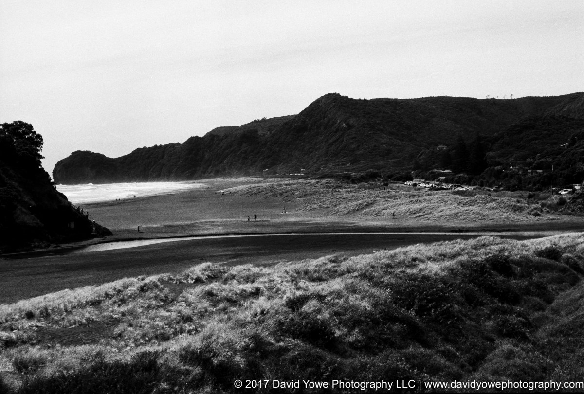 Piha Beach