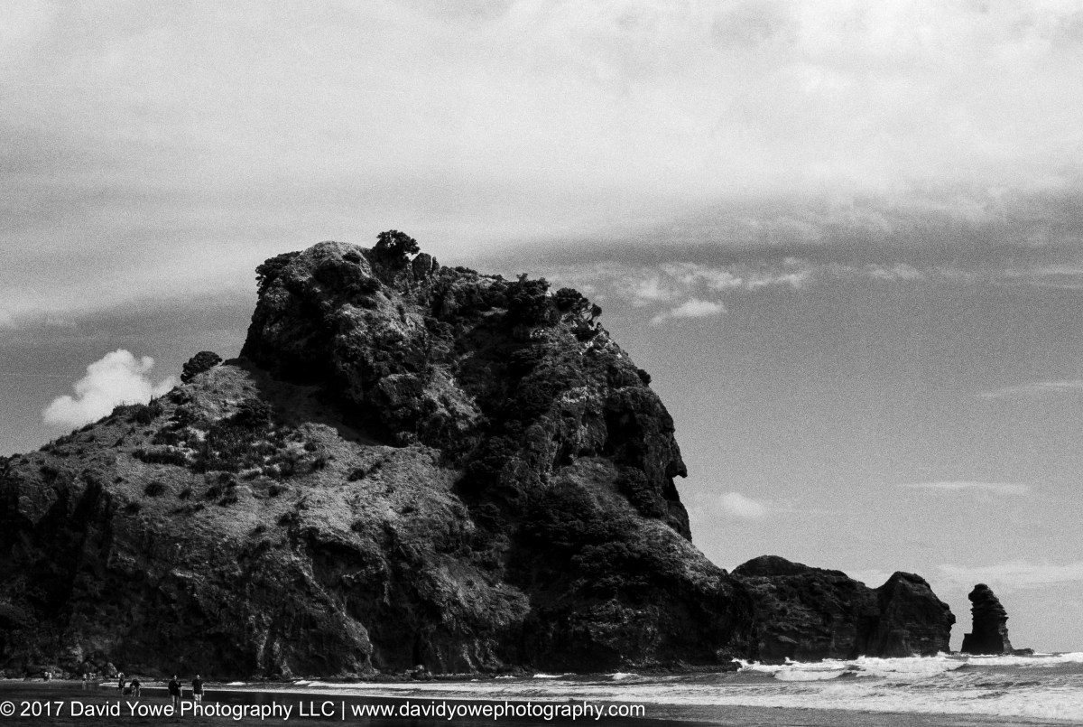 Piha Beach