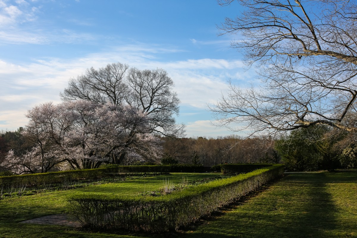 2017_Patriots Day_03