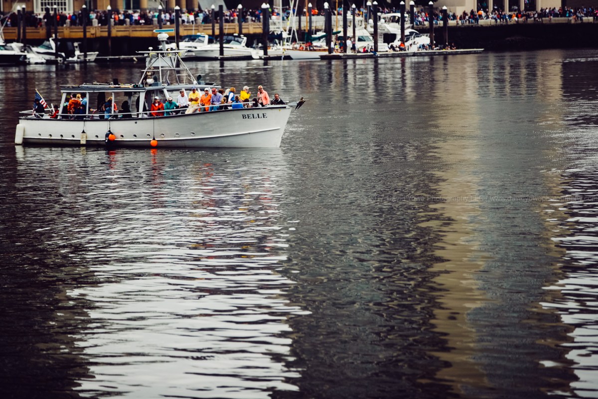 2017 Sail Botson (DLY_7298)