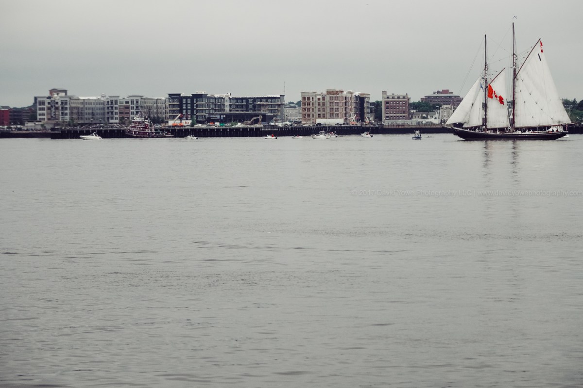 2017 Sail Boston (DLY_7358)