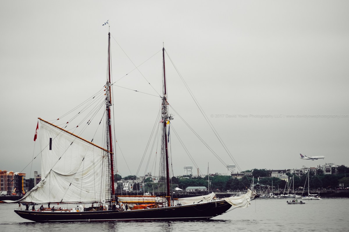 2017 Sail Boston (DLY_7388)