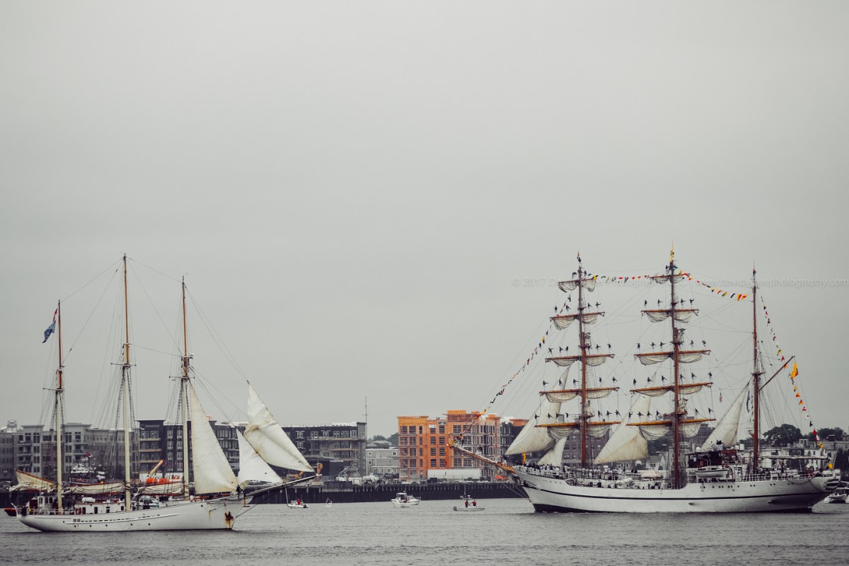 2017 Sail Boston (DLY_7508)
