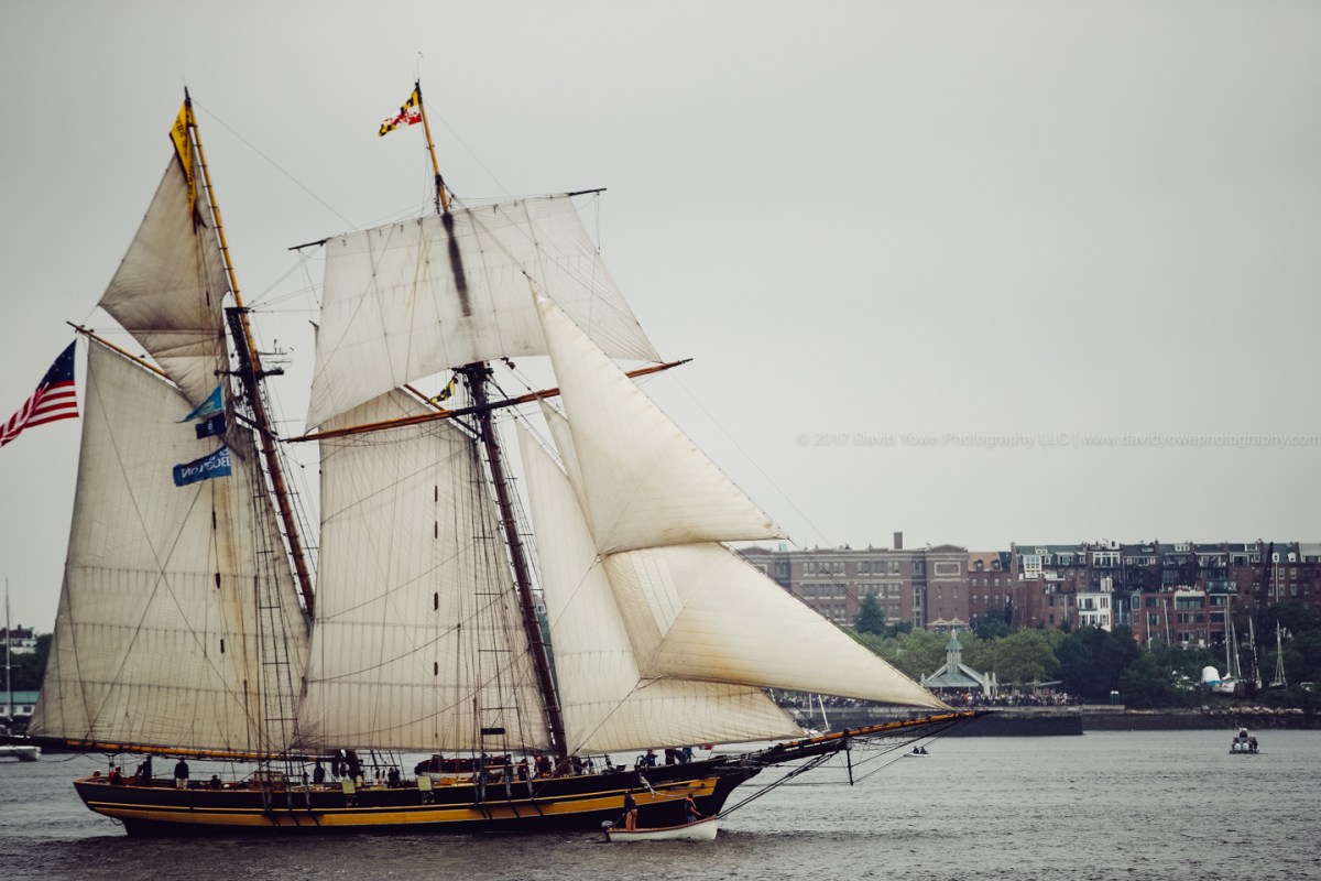 2017 Sail Boston (DLY_7542)