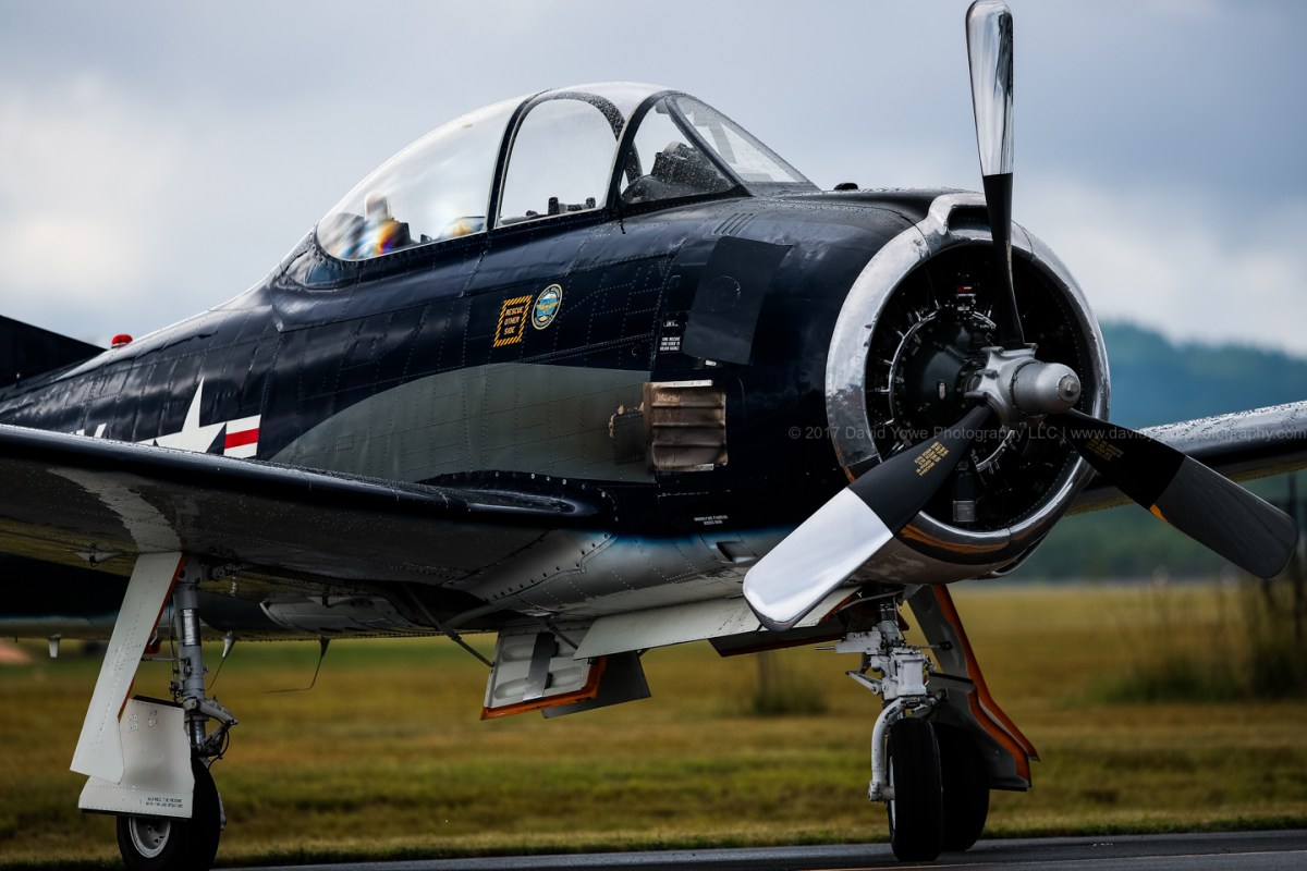 2017 Westfield (DLY_9751)