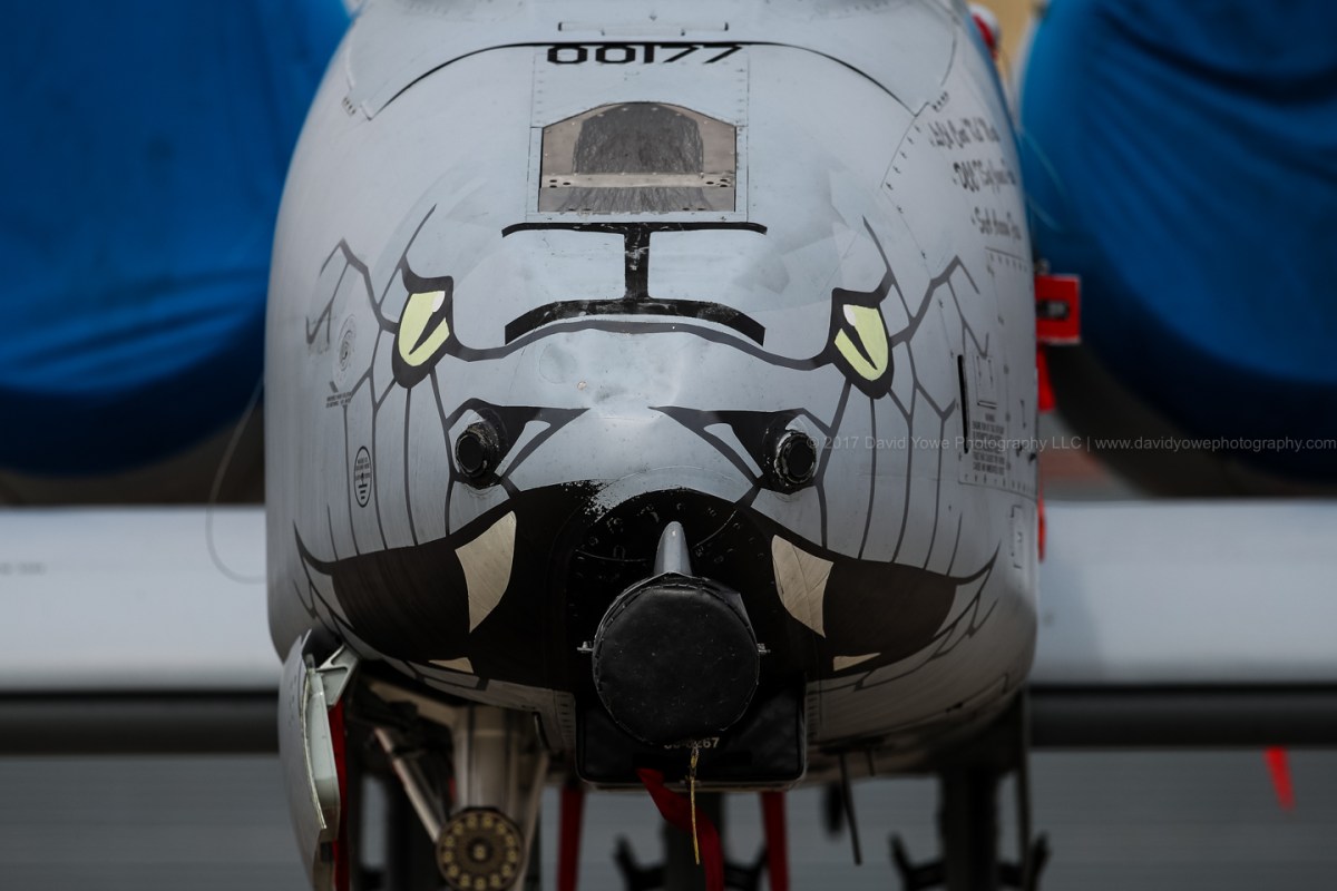 2017 Westfield (DLY_9926)