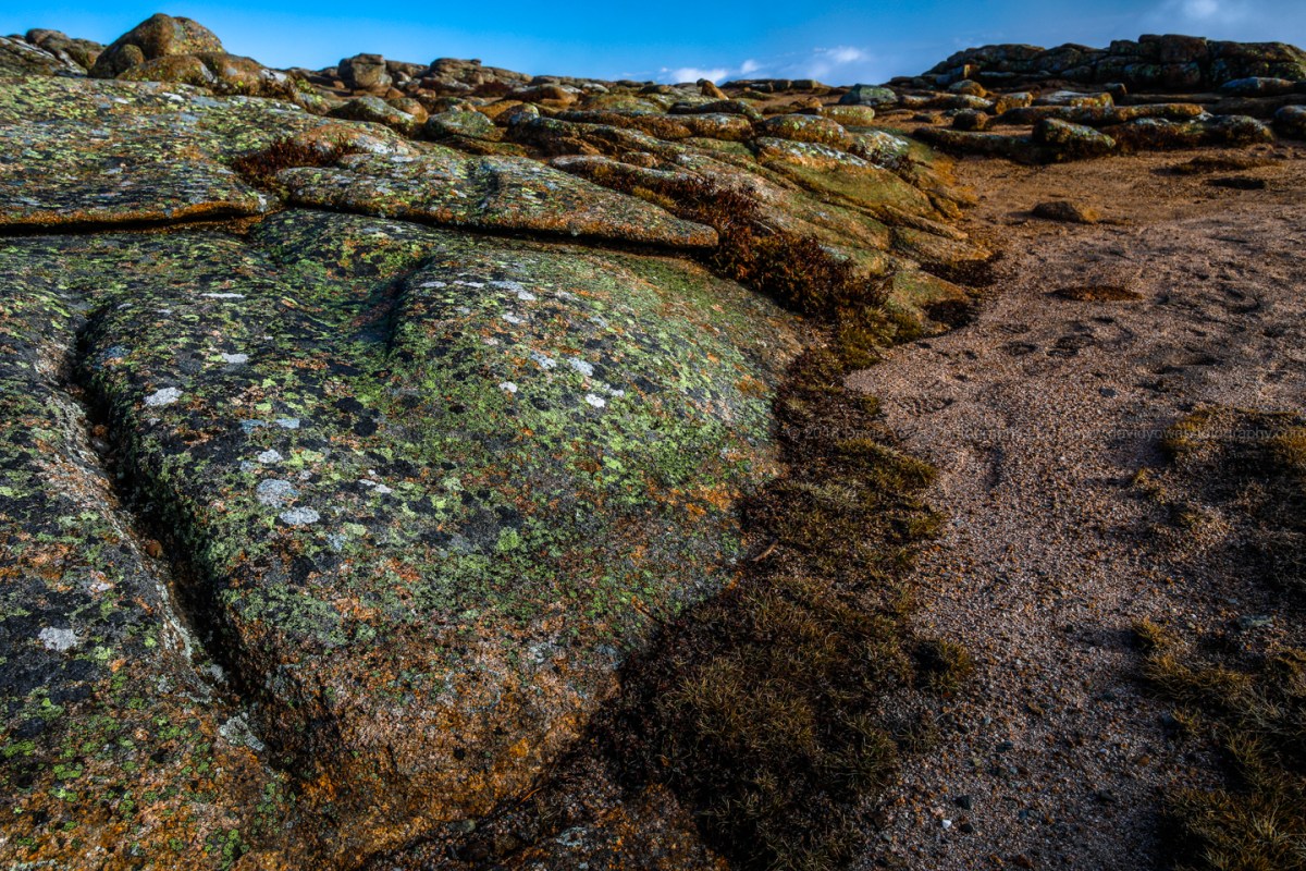 2018 Acadia (DLY_5874)