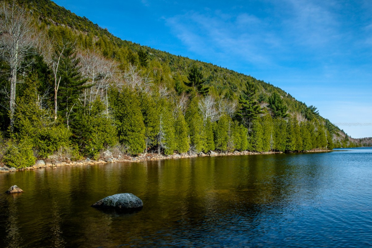 2018 Acadia (Bubble Pond)