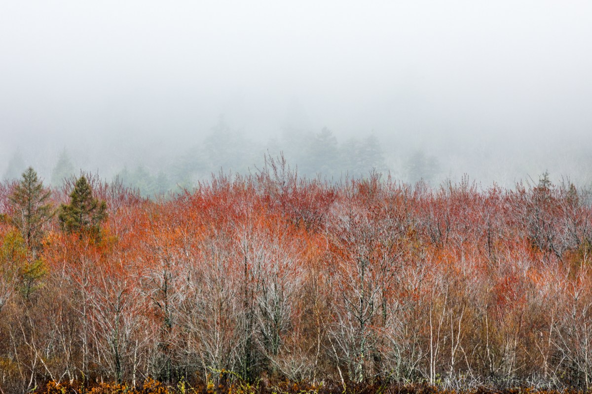 2018 Acadia (DLY_7062)