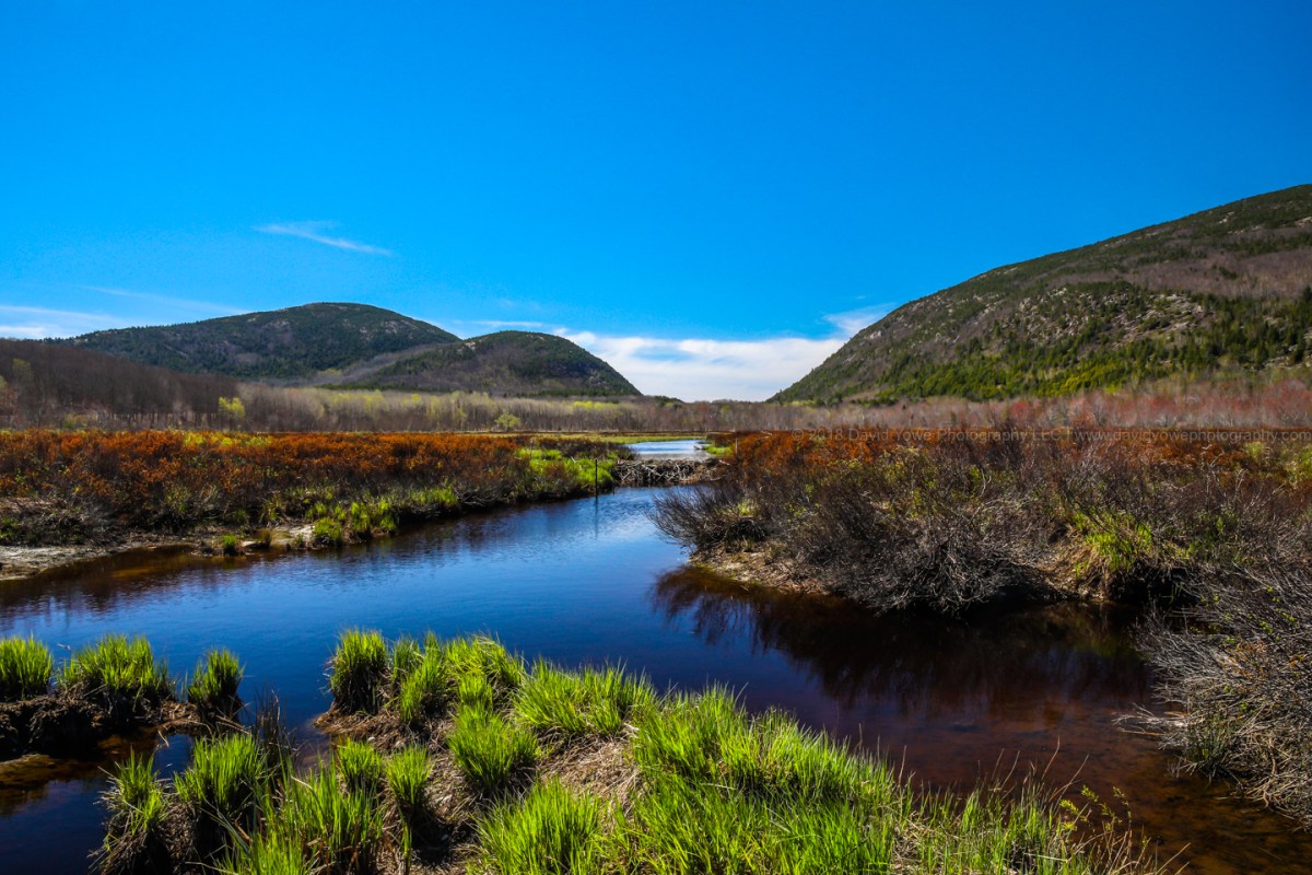 2018 Acadia (DLY_7104)