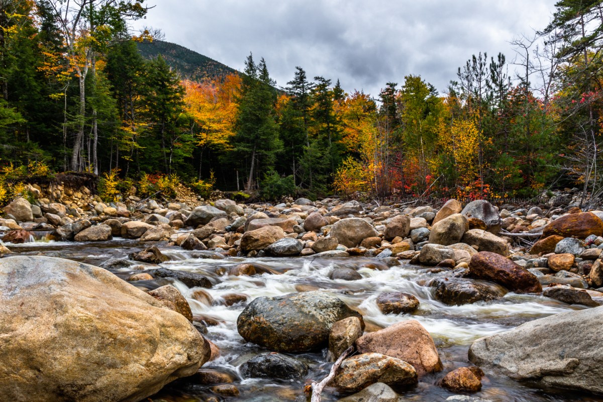 2018 White Mountains DLY_7271)